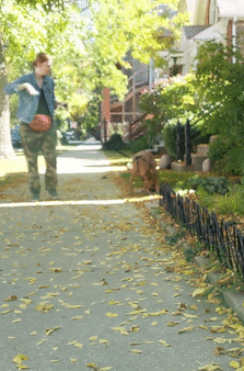 GIF of Julie Young walking her dog down the street.